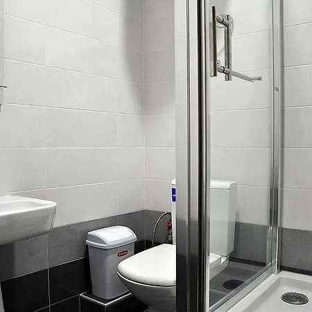 Rent - Mayakovskogo Lane 9 *